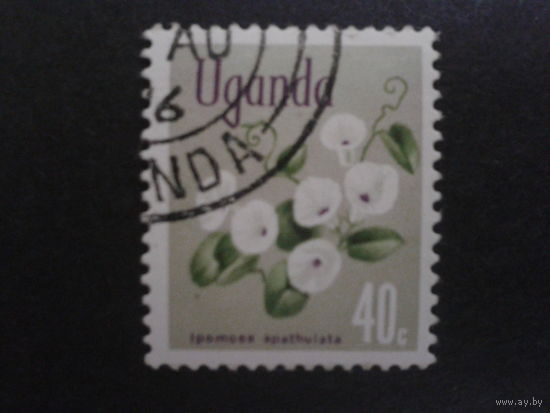 Уганда 1969 стандарт, цветы