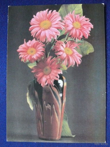 Фото Стейнерта Э., Композиция из цветов, 1984, чистая.