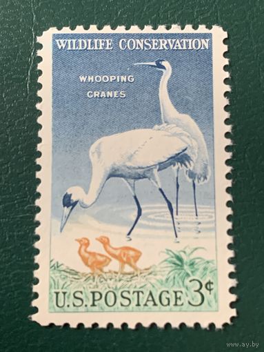 США 1957. Фауна США. Whooping Cranes
