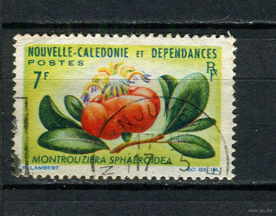 Заморская территория Франции - Новая Каледония - 1964 - Цветы 7Fr - [Mi.399] - 1 марка. Гашеная.  (Лот 45CO)