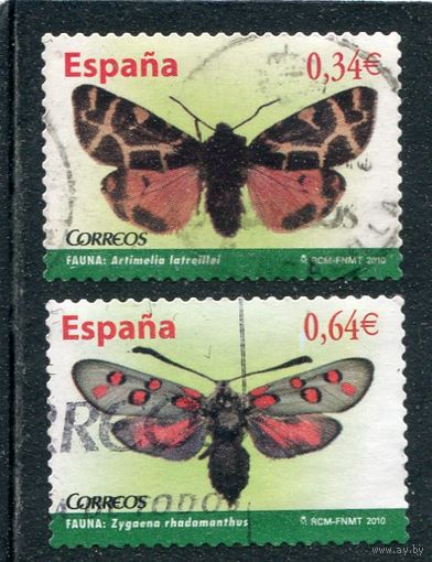 Испания. Бабочки