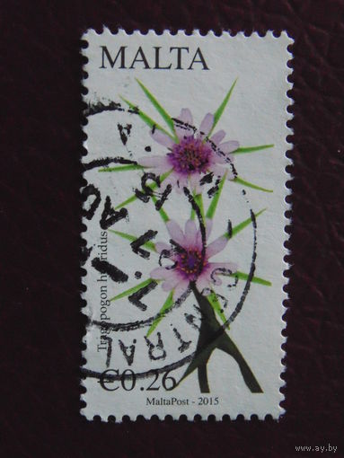 Мальта  2015 г. Цветы.