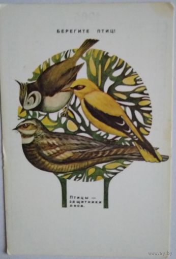 Календарик. Берегите птиц. 1985