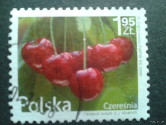 Польша 2009 стандарт вишни