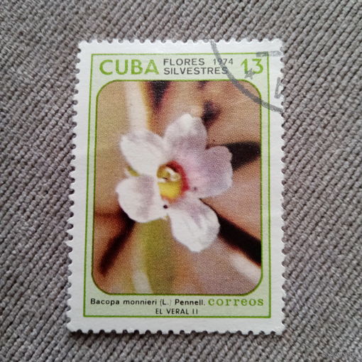 Куба 1974. Флора. Цветы