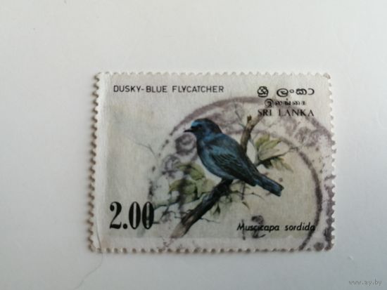 Шри Ланка 1983. Птицы