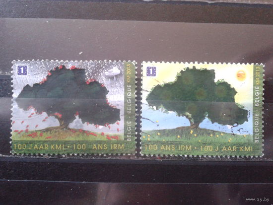Бельгия 2013 Деревья, марки из блока Метеорология  Михель-4,2 евро гаш