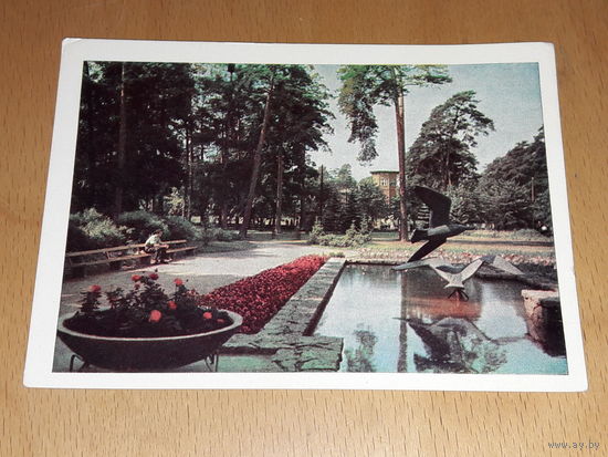Почтовая карточка Латвия Юрмала Дзинтари 1965 Чистая