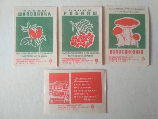 Спичечные этикетки ф.Пинск. 1968 год