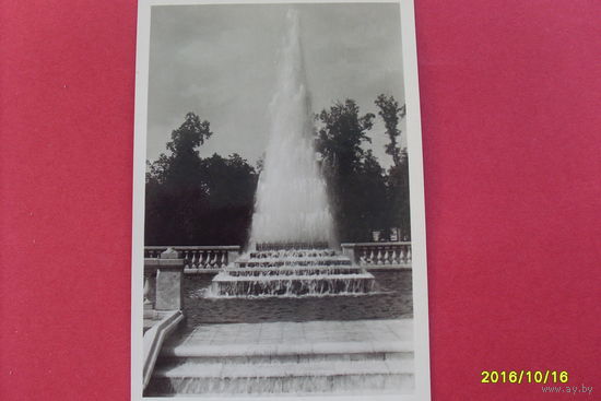 Петродворец Фонтан "Пирамида" 1954 год