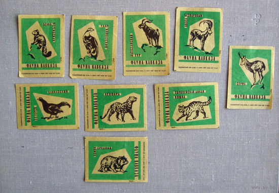 Спичечные этикетки Фауна Кавказа 9 штук Зеленые Башкирия 1962