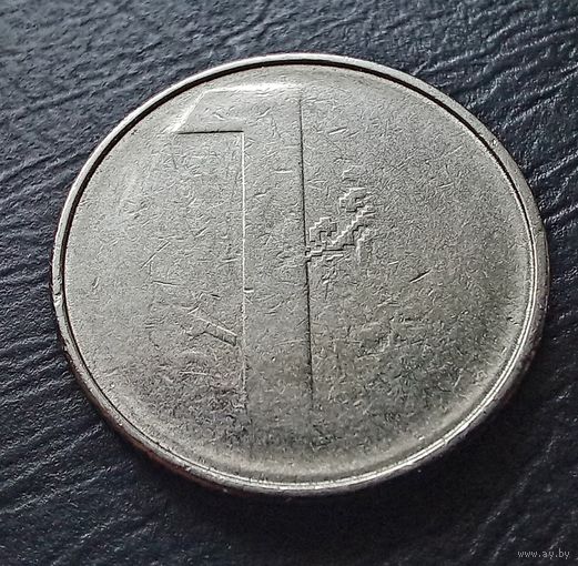 1 рубль Беларусь.