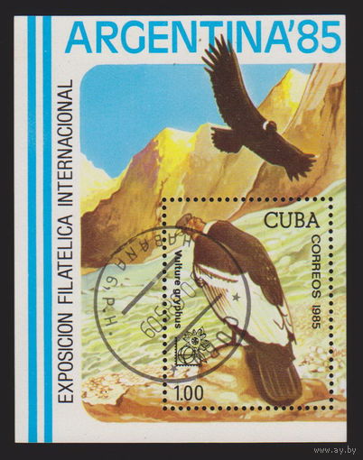 Птицы Фауна Орлы Куба 1985 год  лот 2035