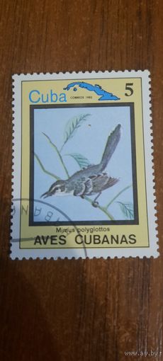 Куба 1983. Птицы. Mimus polyglottos. Марка из серии