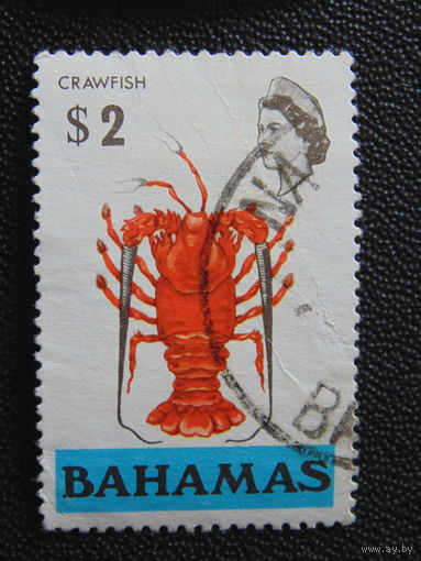 Багамы 1971 г. Фауна.