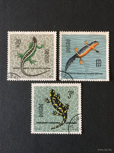 Рептилии. Польша,1963, 3 марки из серии