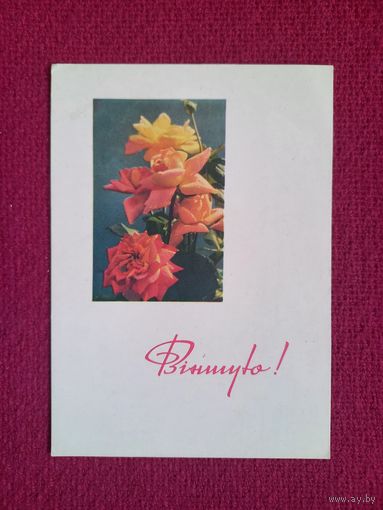 Поздравляю! Белорусская открытка. Ананьины 1967 г. Чистая.