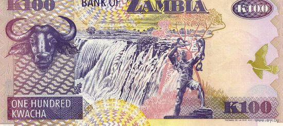 Банкнота 100 квача Замбия 1992 год