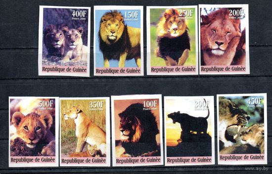 Львы Гвинея 2000 г. серия из 9 марок