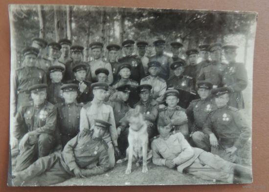 Фото "Бойцы с собакой", 1945 г.,  Польша