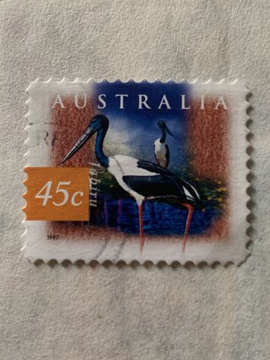 Австралия 1997. Фауна. Птицы