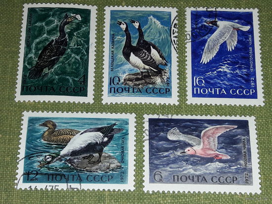 СССР 1972 Фауна. Водоплавающие птицы. Полная серия 5 марок