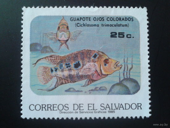 Сальвадор 1985 рыба