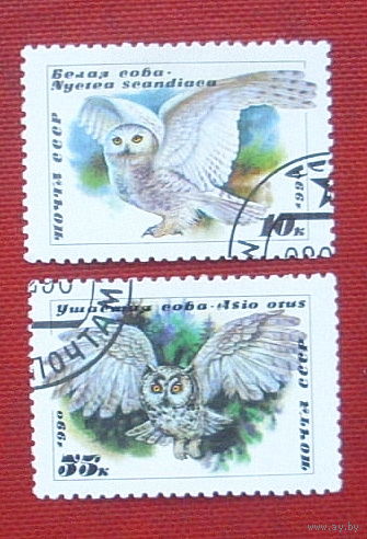 СССР. Совы. ( 2 марки ) 1990 года. 4-5.