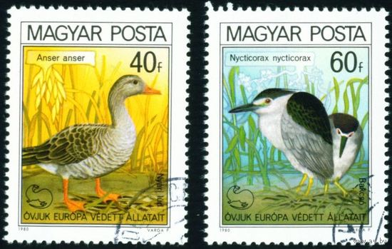 Охраняемые птицы Европы Венгрия 1980 год 2 марки