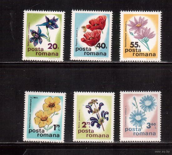 Румыния-1975(Мих.3285-3290) ** , Флора, Цветы (полная серия)