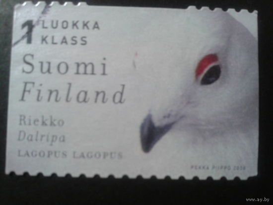 Финляндия 2000 птица