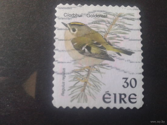 Ирландия 1998 птицы