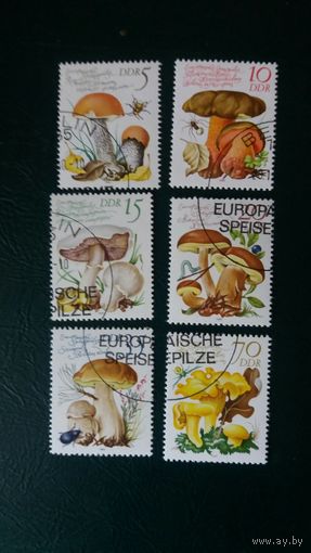 ГДР 1980 6м грибы