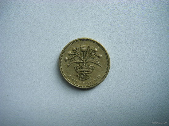 Британия 1 фунт 1989г.