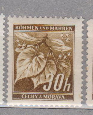 Германия рейх  Богемия и Моравия Местные мотивы 1941 г флора  лот 6