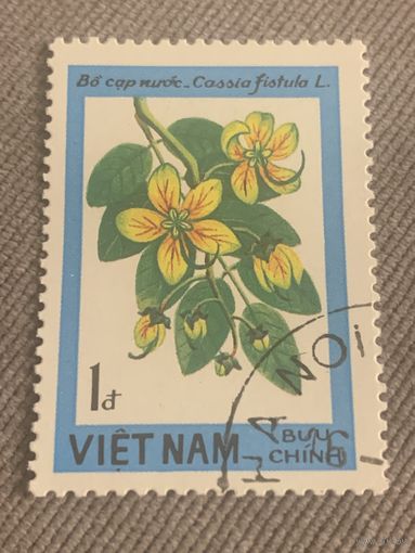 Вьетнам. Флора. Cassia Fistula
