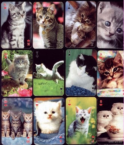 Карты кошачьи (неполная колода,34 листа)