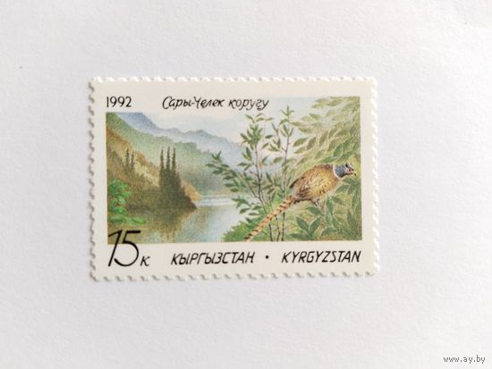 Киргизия 1992 1м