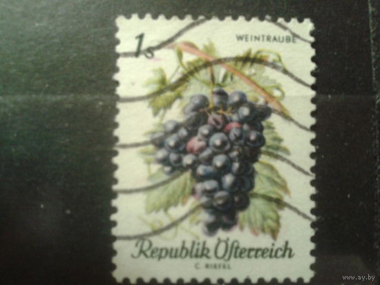 Австрия 1966 Виноград