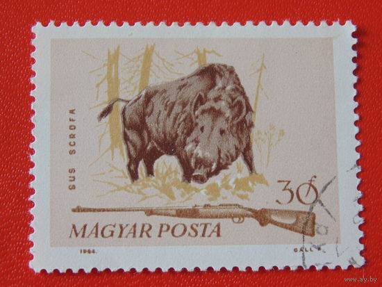 Венгрия 1964 г. Фауна.