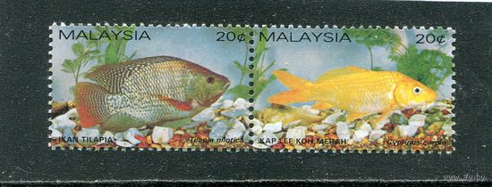 Малайзия. Рыбы