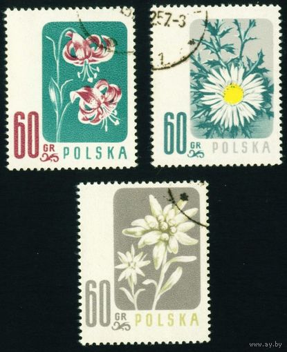 Цветы Польша 1957 год 3 марки