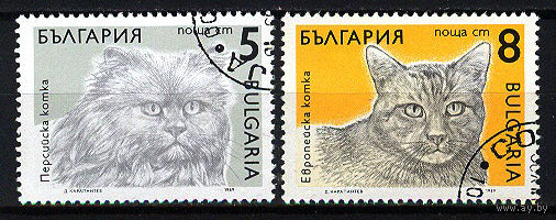 1989 Болгария. Коты