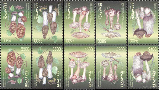 Грибы Беларусь 1998 год (291-295) серия из 5 марок тет-беш (вариант I)