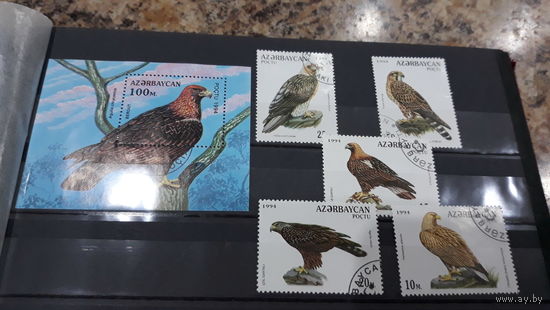Марки - птицы, фауна - Азербайджан 1994 Хищные птицы полная серия - блок и 5 марок