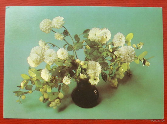 Композиция из цветов. Чистая. 1985 года. Фото Савалова. 1867.