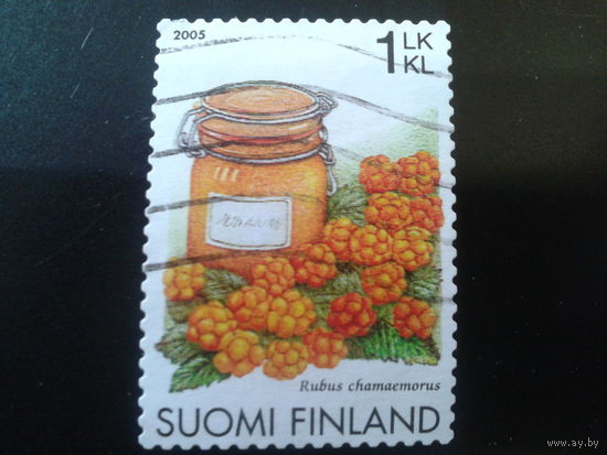 Финляндия 2005 ягоды