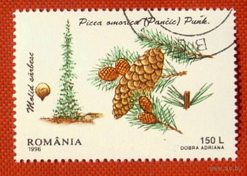 Румыния. Флора. ( 1 марка ) 1996 года.
