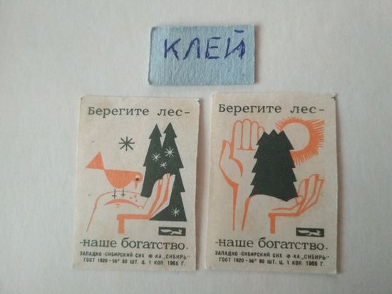 Спичечные этикетки ф.Сибирь. Берегите лес. 1965 год