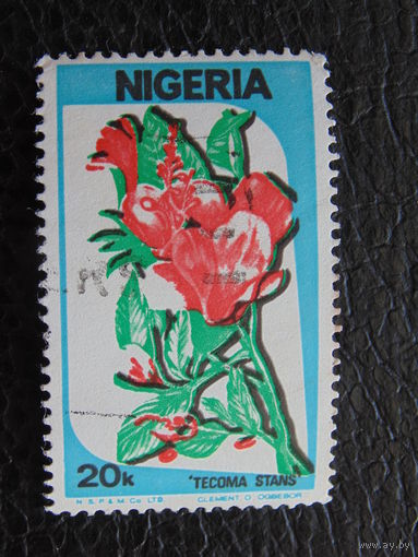 Нигерия 1986 г. Флора.